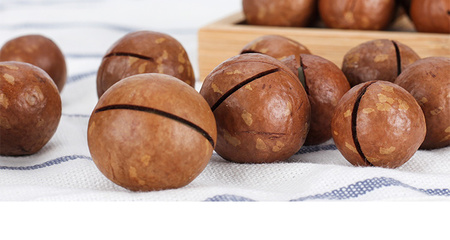 森林老爹堅果代工廠 一站式堅果貼牌代工，賦能品牌成長