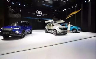 電動(dòng)suv是中國消費(fèi)者最需要的車型 聽聽五位大佬怎么說